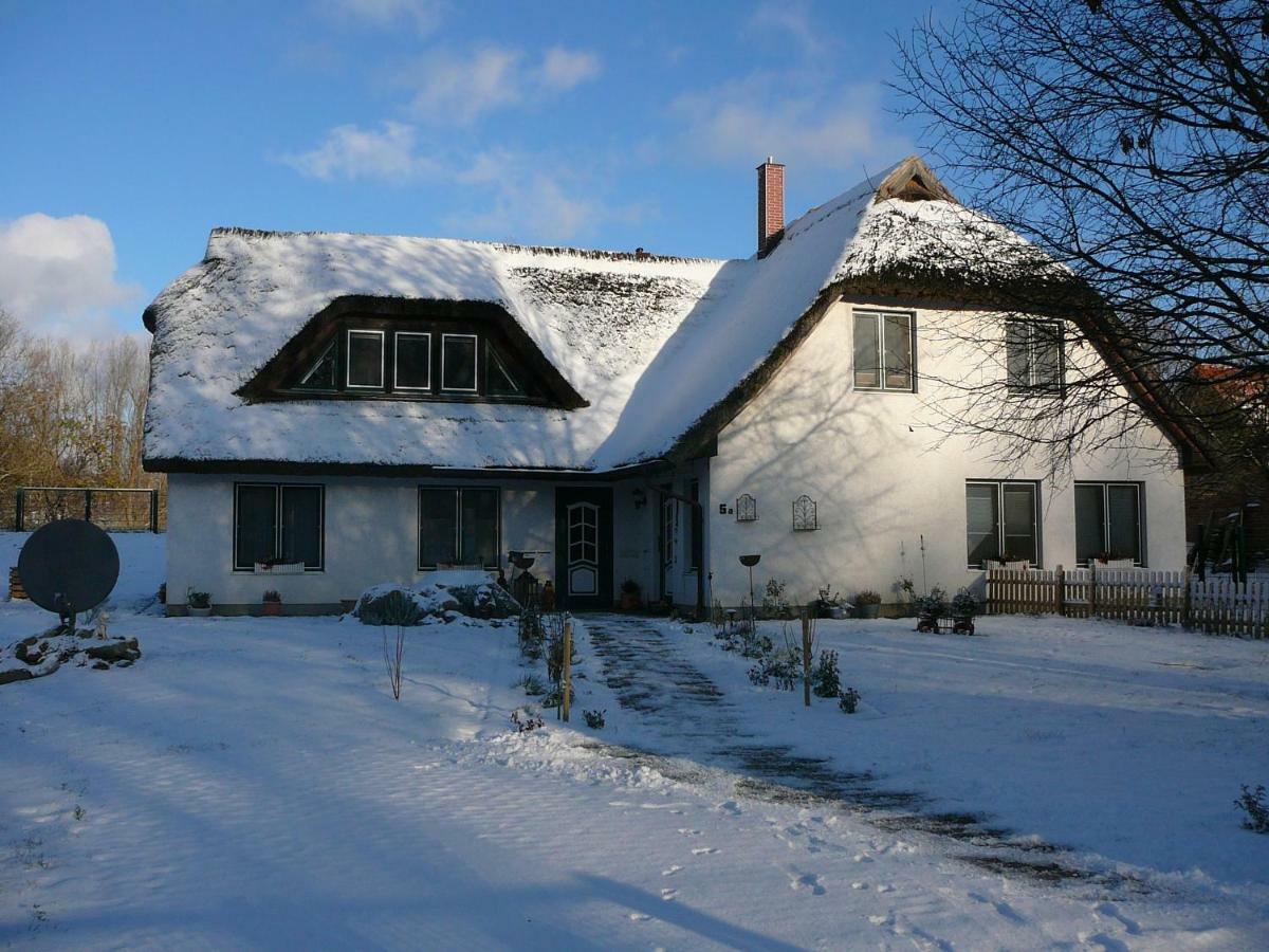 Gustow Haus Bernsteinchen公寓 外观 照片